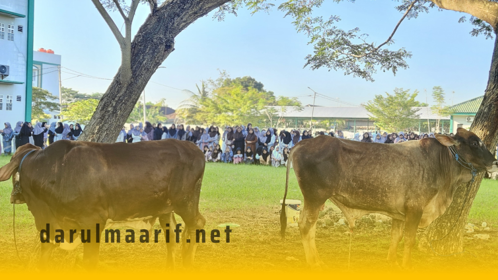 darulmaarif.net 1