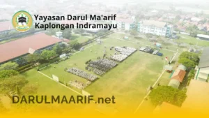 darulmaarif.net 4