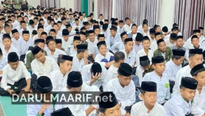 darulmaarif.net 7