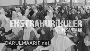 darulmaarif.net 4