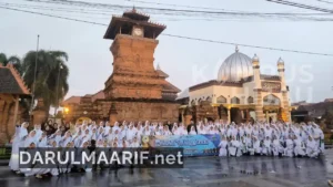 darulmaarif.net 8