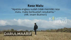 darulmaarif.net 22