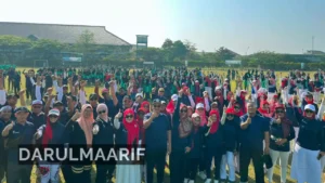darulmaarif.net