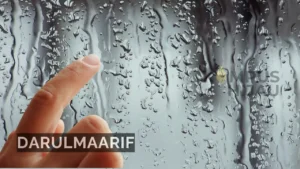 darulmaarif.net 10 1 1
