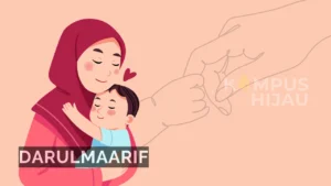 darulmaarif.net 10 1
